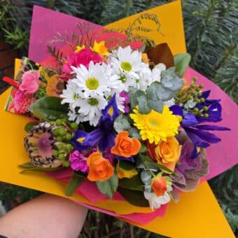 Beautiful Brights