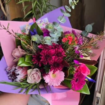 Pinks and Purples
