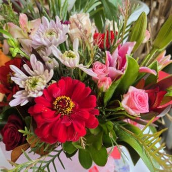 Reds and Pinks