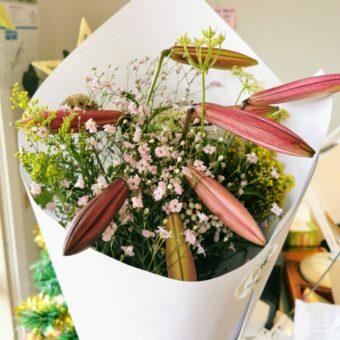 Chrtistmas Lily Lover