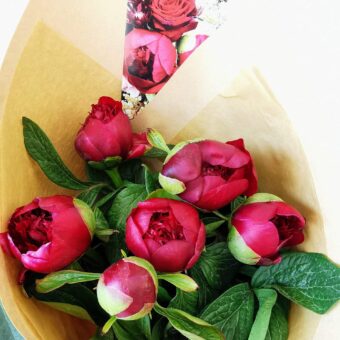 Peony Red Charm