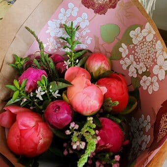 Peony Perfection Mixed