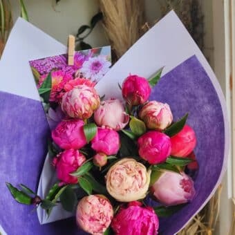 Peony Perfection Mixed