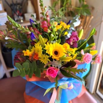 Beautiful Brights